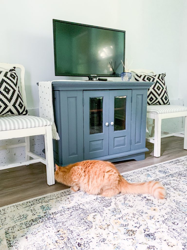 Transformation Tuesday - Fusion Mineral Paint Using Soap Stone - Robyn's Southern Nest
