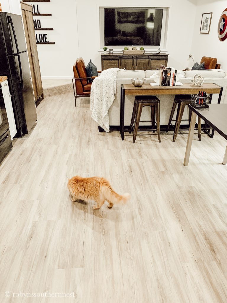 Basement Flooring shot with orange cat in the living room. - Robyn's Southern Nest 