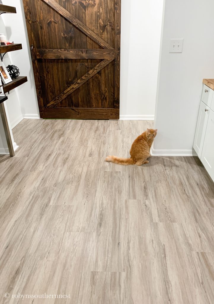 Flooring shown with barn door in basement - Robyn's Southern Nest 