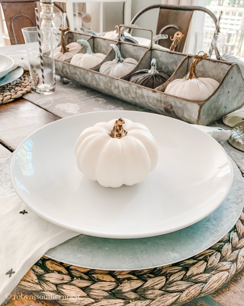a look at the place setting plate with white pumpkin and feeder filled with pumpkins 