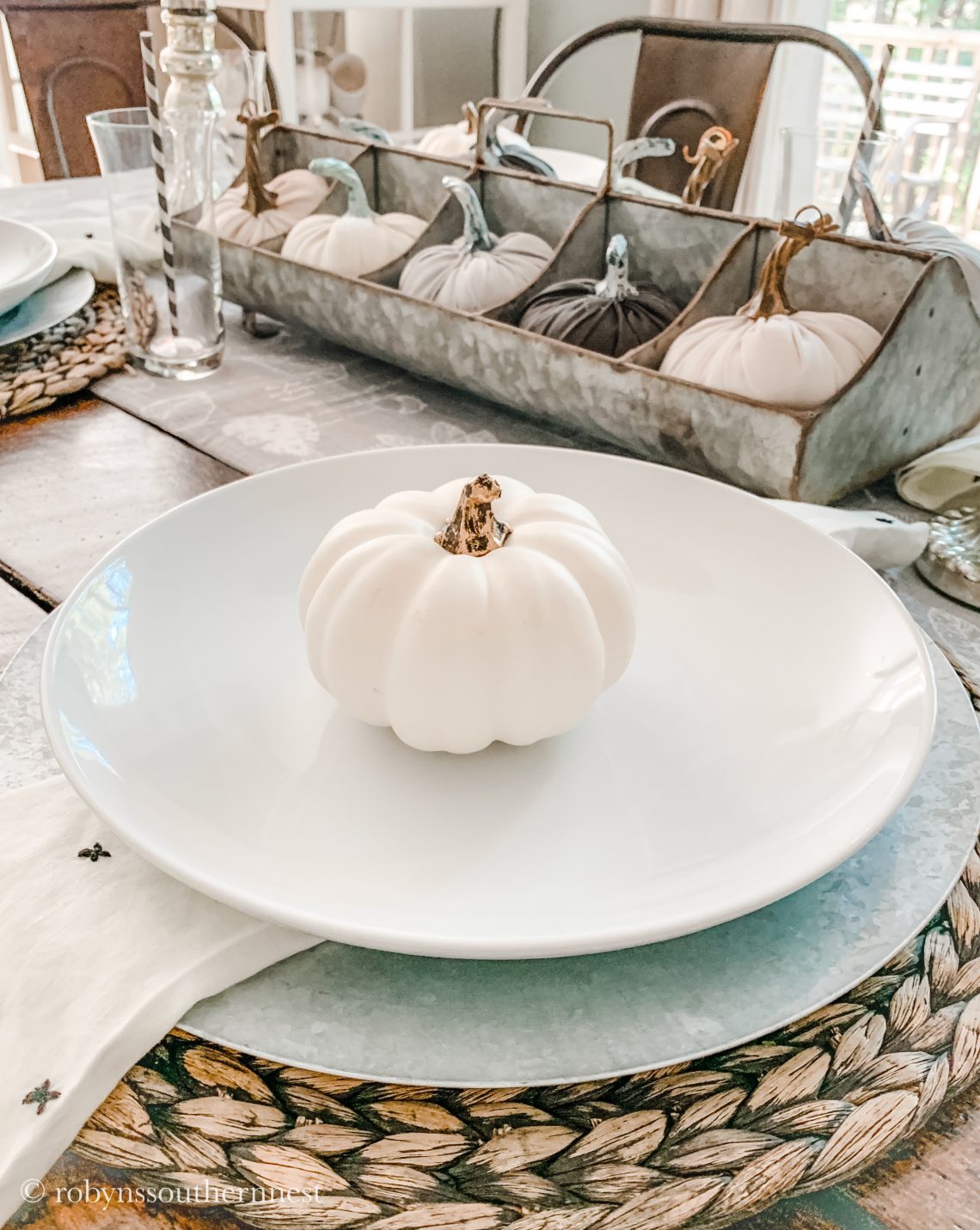 Easy Neutral Fall Tablescape • Robyn's Southern Nest