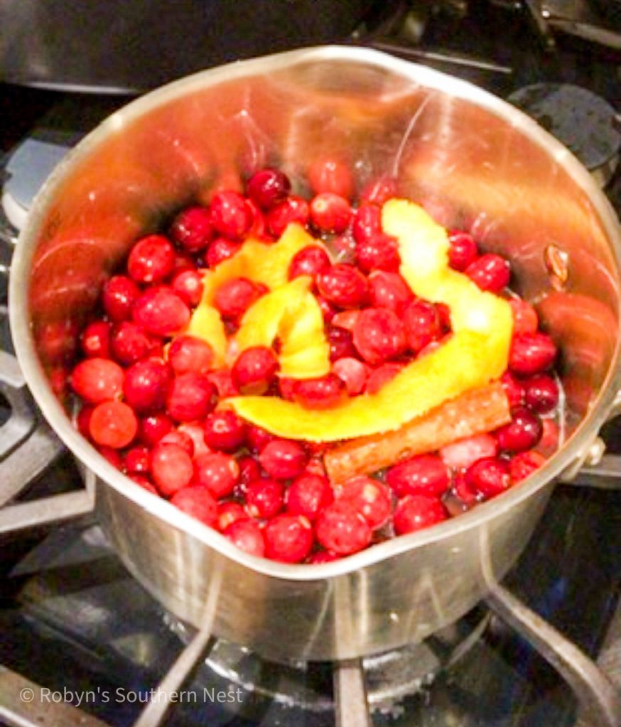 cranberry sauce with orange garnish